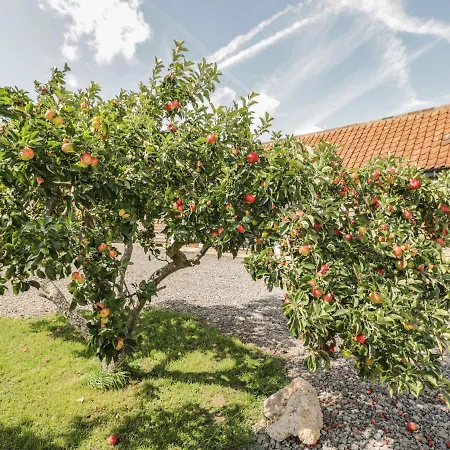 Σπίτι διακοπών Golden Valley Barn *