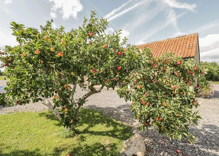 Prázdninový dům Golden Valley Barn *